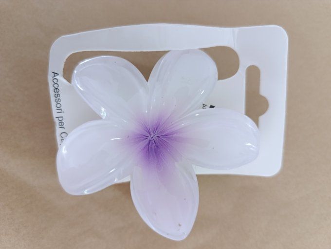 Pinces fleurs clip tendances largeur 8 cm