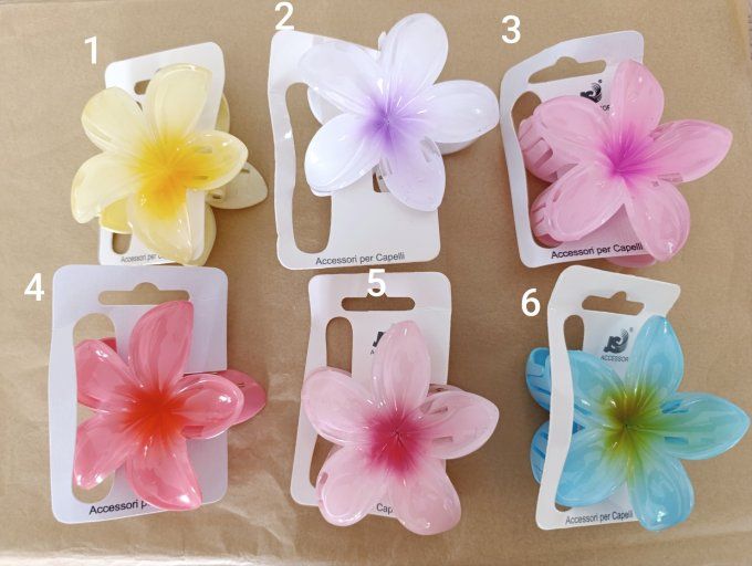 Pinces fleurs clip tendances largeur 8 cm