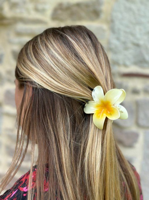 Pinces fleurs clip tendances largeur 8,5 cm - Copie