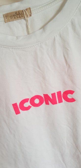 Tee-shirt gris délavé ou blanc inscription Iconic t.u jusqu'au 40
